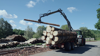Holzstämme werden auf den LKW verladen