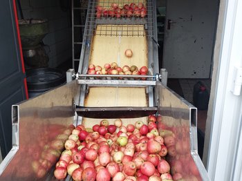 Äpfel vor der Verarbeitung